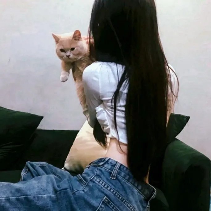 铁面战警