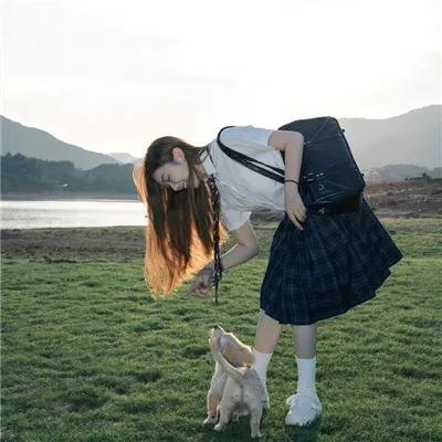 女王的哥基